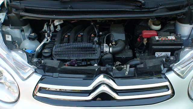 Ιδιαίτερα ζωηρός σε όλα του