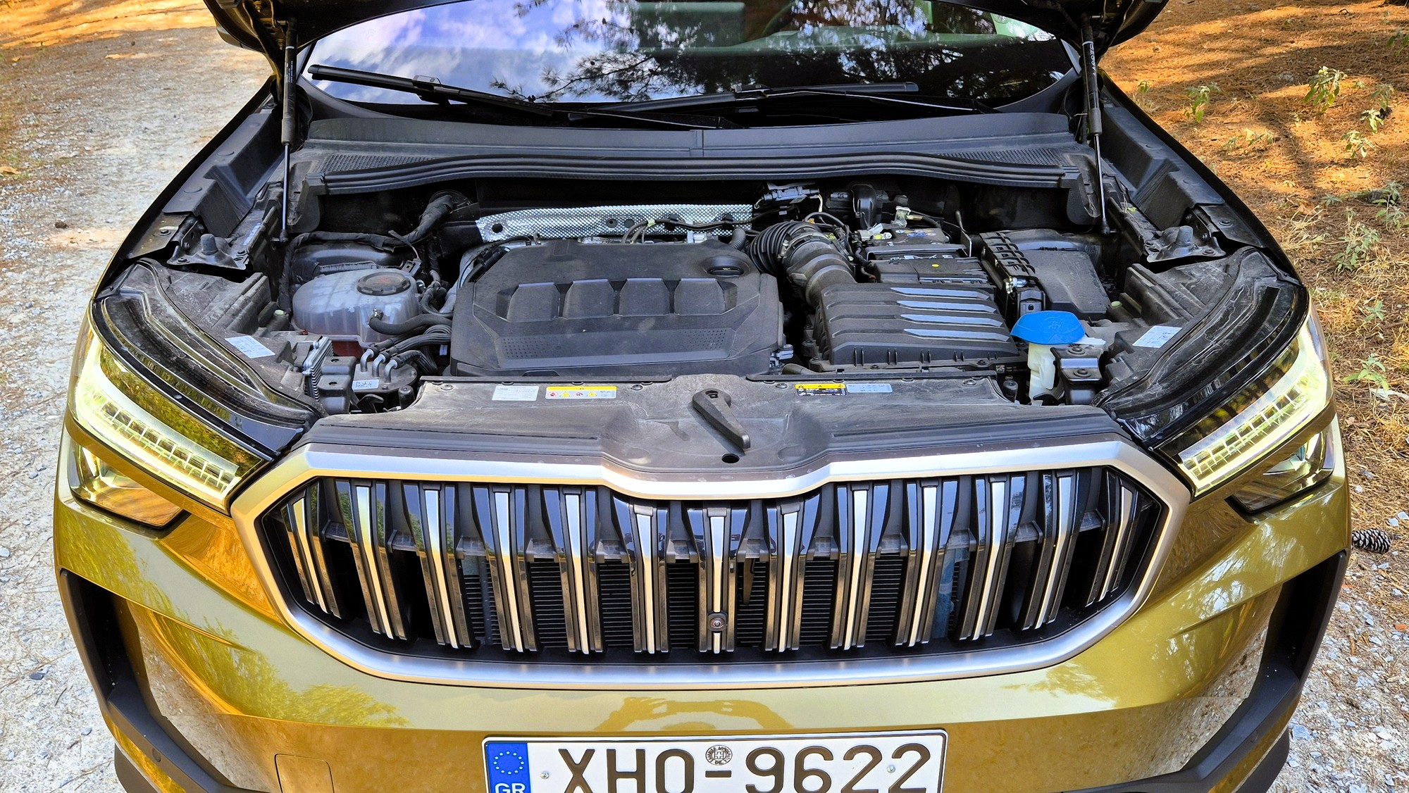 skoda kodiaq kinitiras